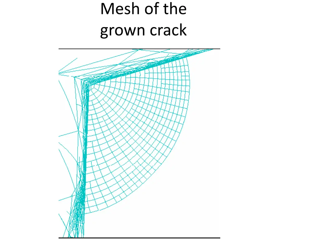 mesh of the grown crack