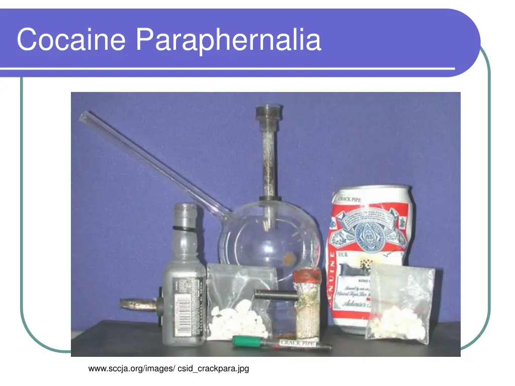 cocaine paraphernalia