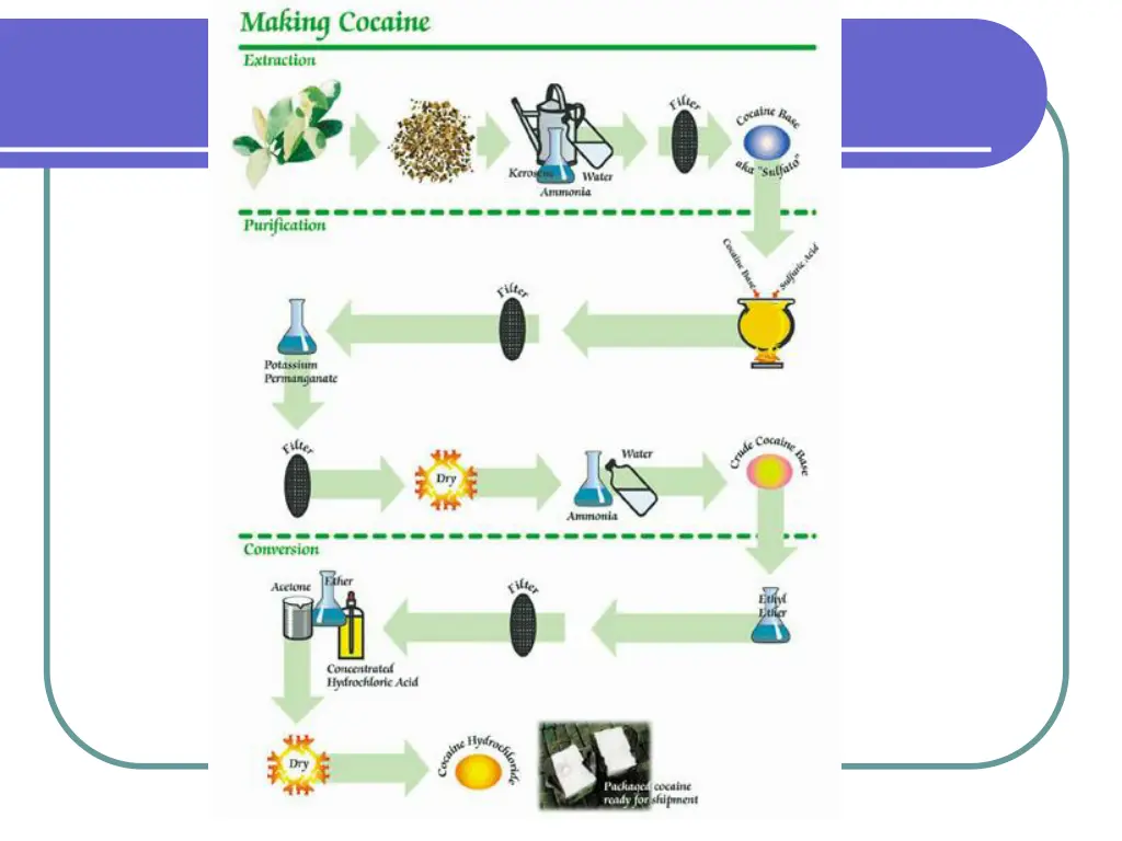 the cocaine production process