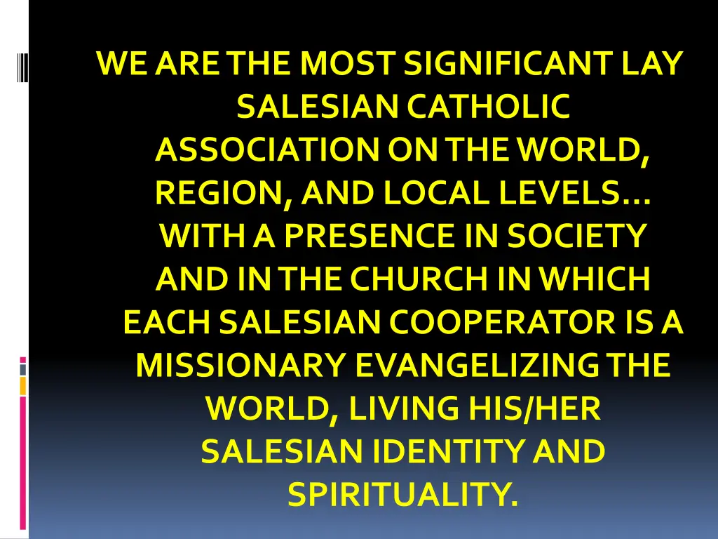 we are the most significant lay salesian catholic