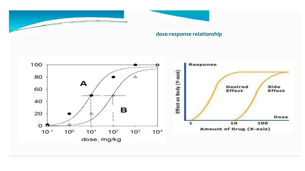 dose responserelationship 1