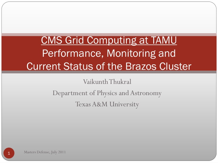 cms grid computing at tamu performance monitoring