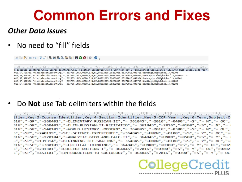 common errors and fixes other data issues 1