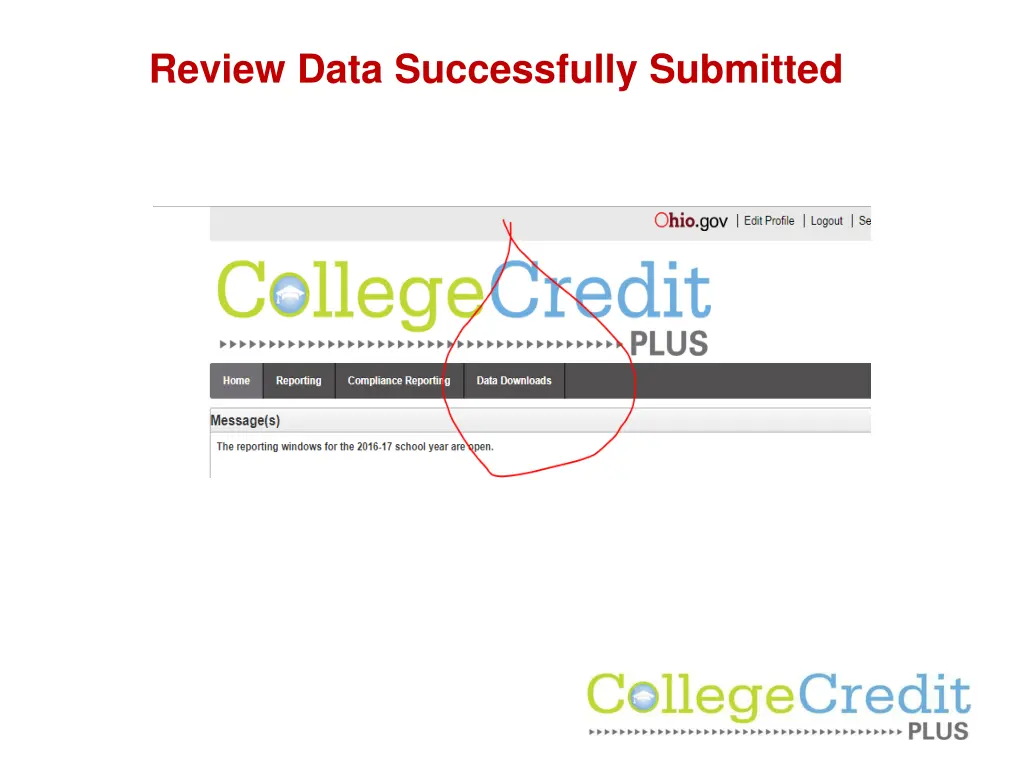 review data successfully submitted