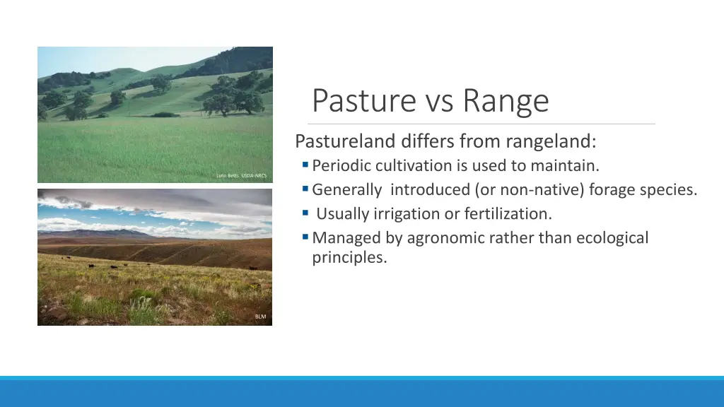 pasture vs range