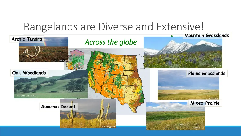 rangelands are diverse and extensive arctic tundra