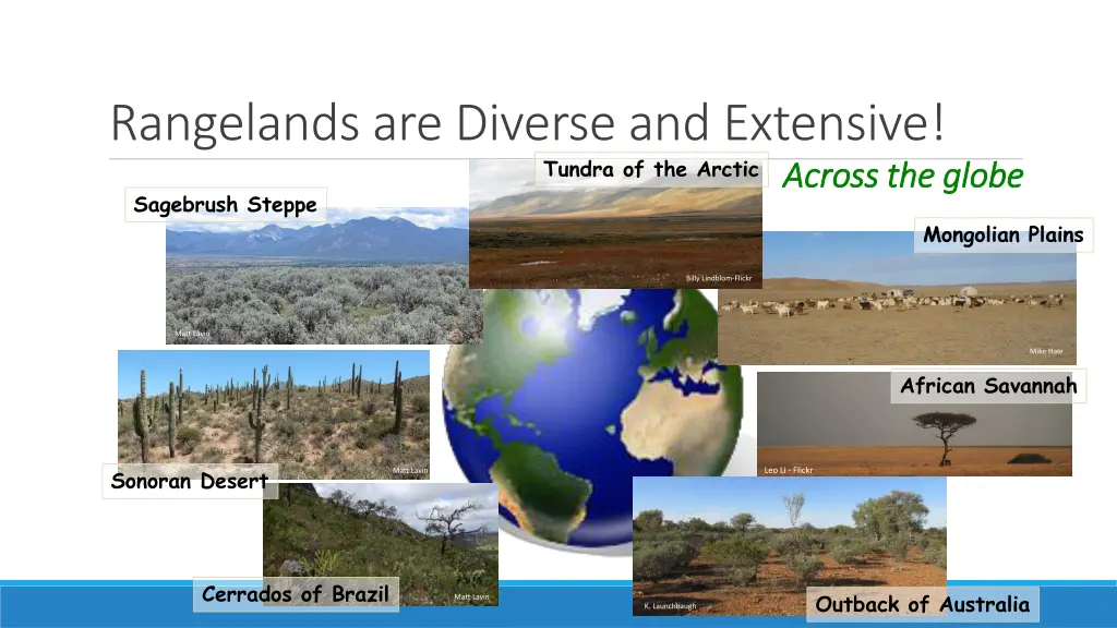 rangelands are diverse and extensive