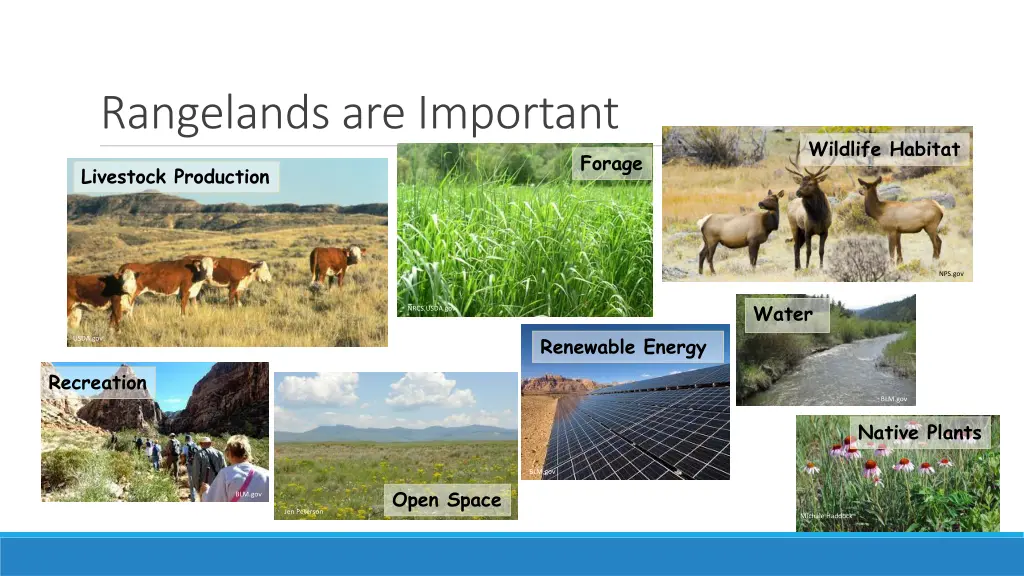 rangelands are important