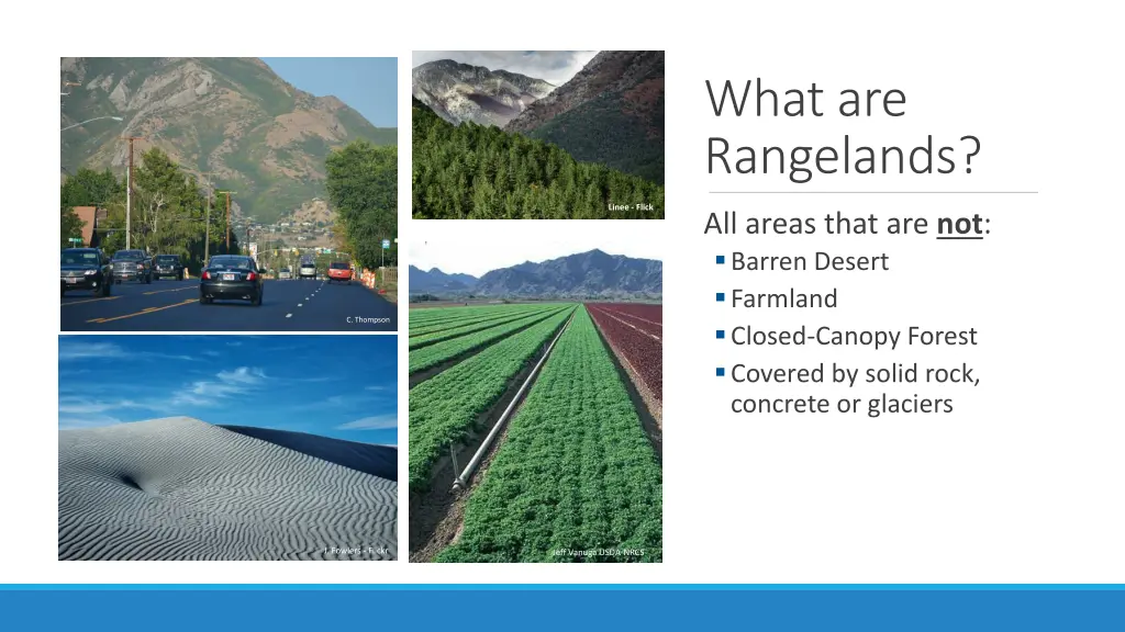 what are rangelands