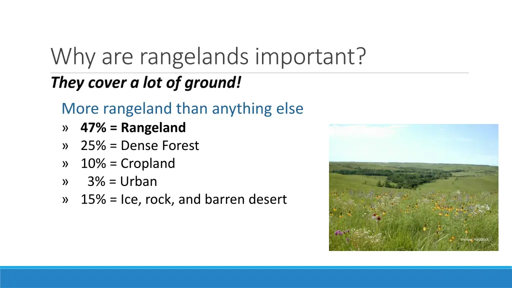 why are rangelands important