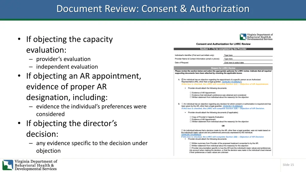 document review consent authorization