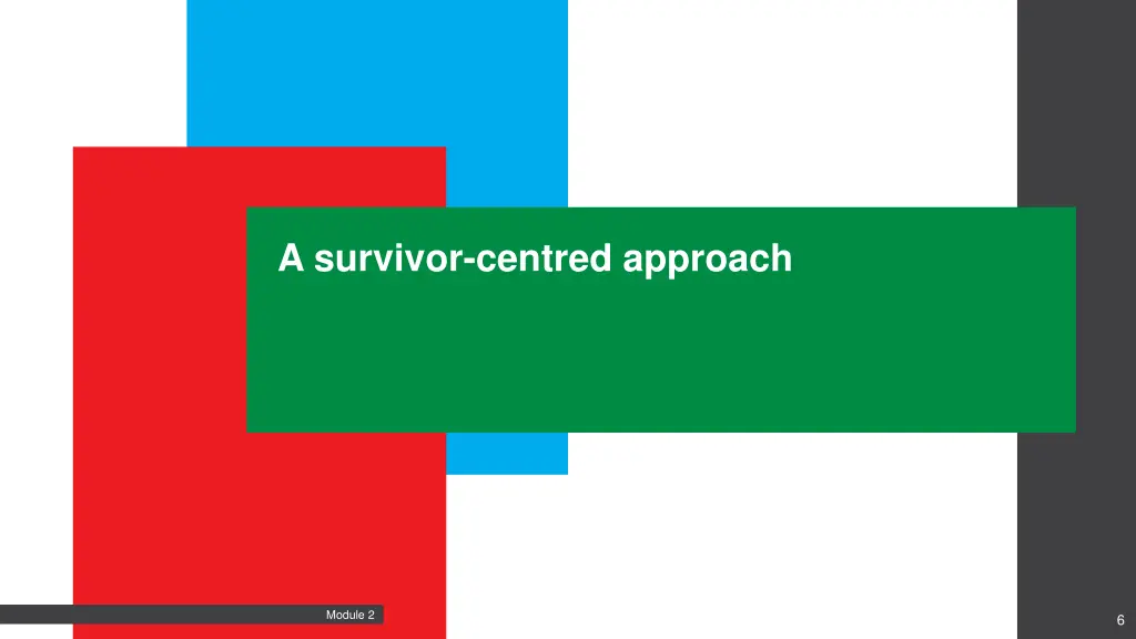 a survivor centred approach