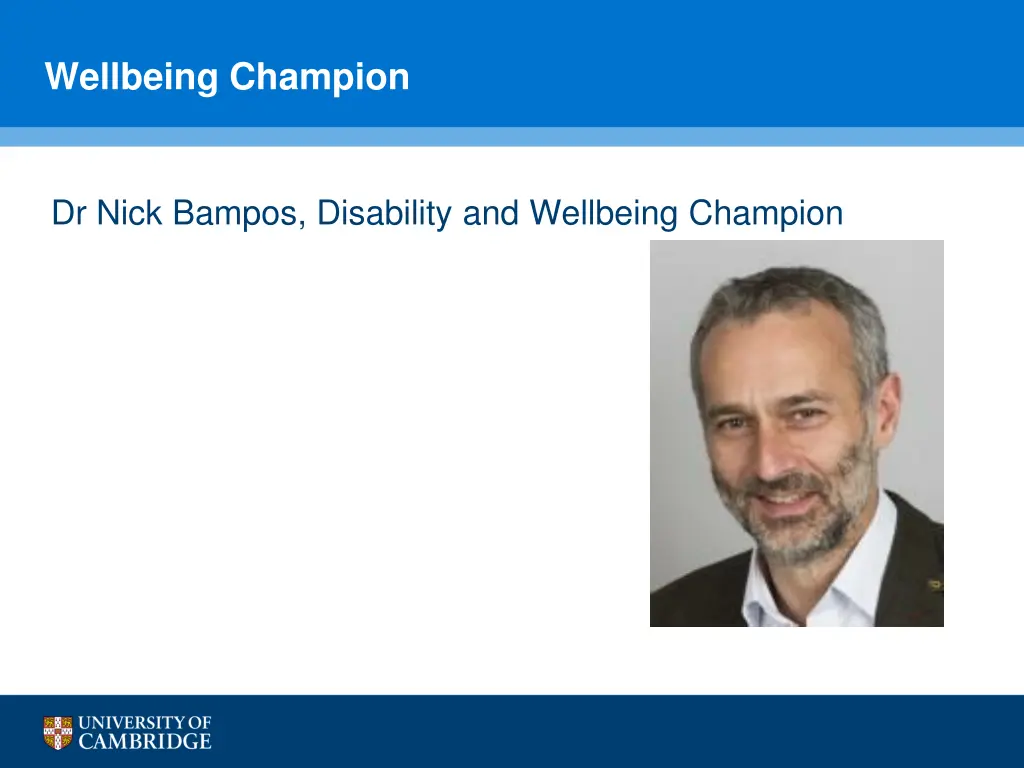 wellbeing champion