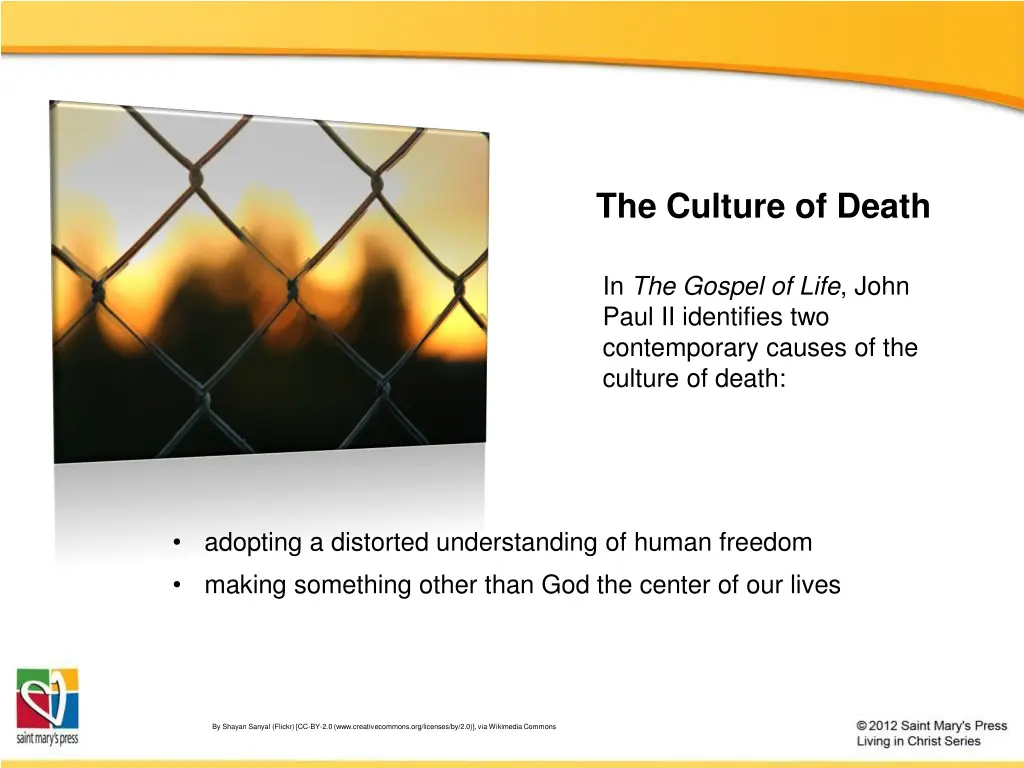 the culture of death