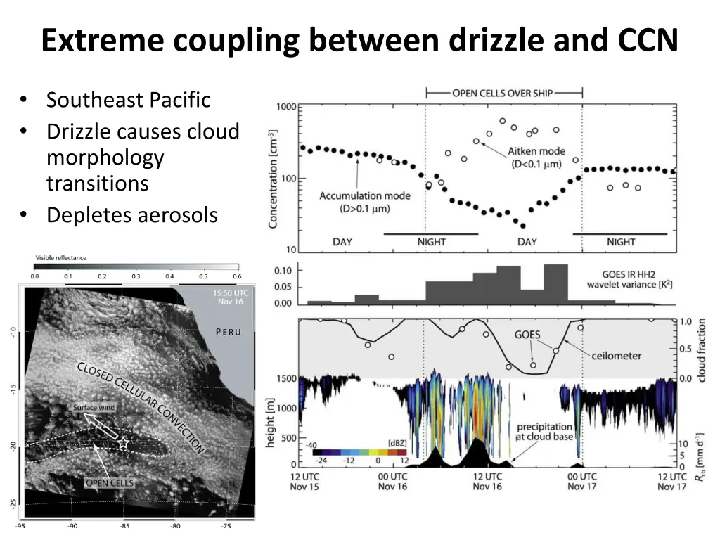 extreme coupling between drizzle and ccn