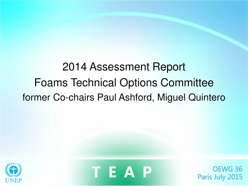 2014 assessment report foams technical options