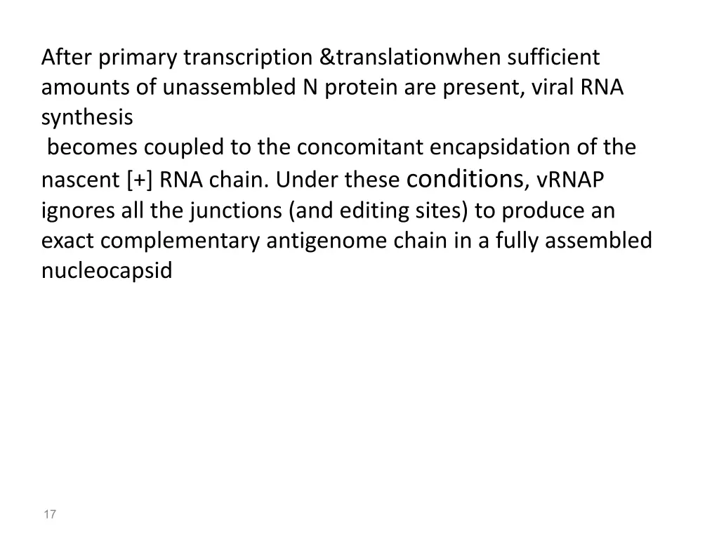 after primary transcription translationwhen