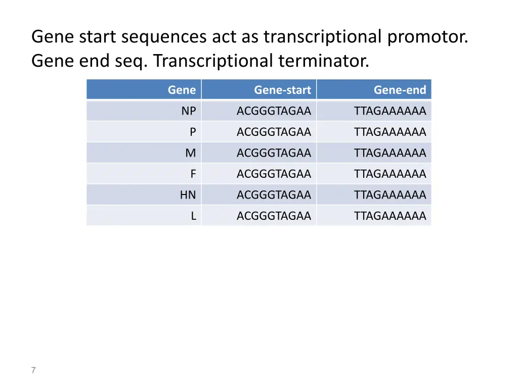 gene start sequences act as transcriptional