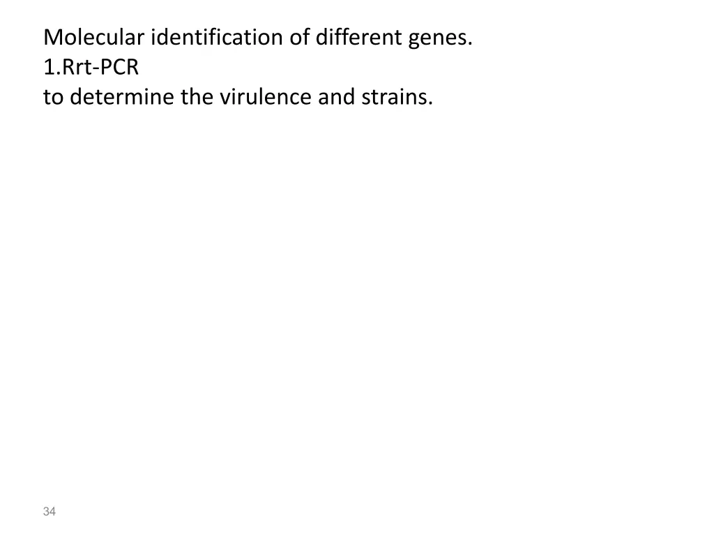 molecular identification of different genes