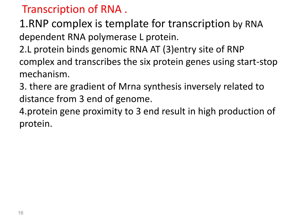 transcription of rna 1 rnp complex is template