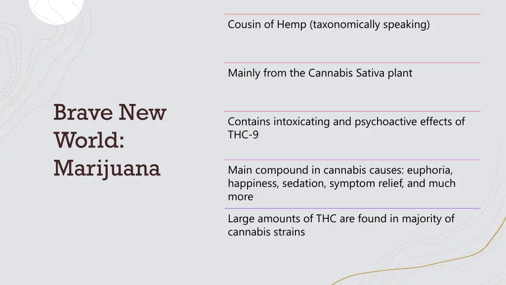 cousin of hemp taxonomically speaking