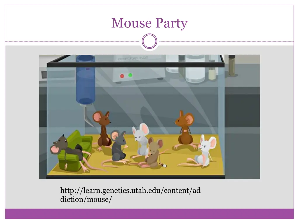 mouse party