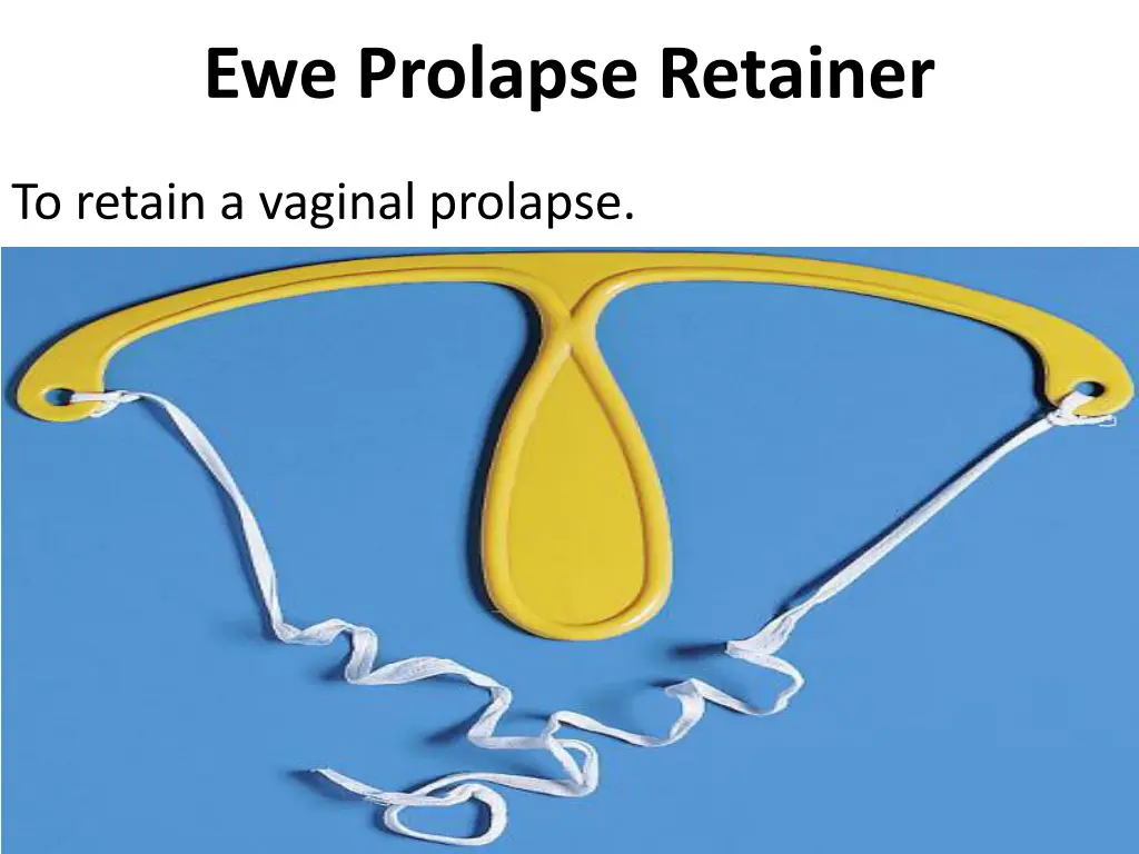 ewe prolapse retainer