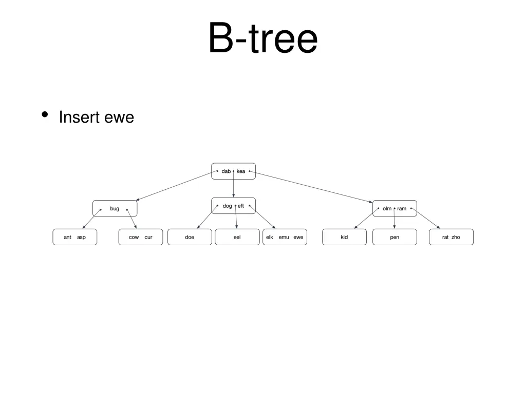 b tree 1