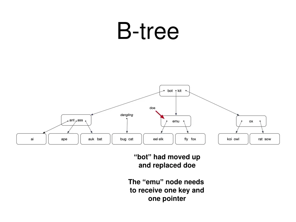 b tree 11