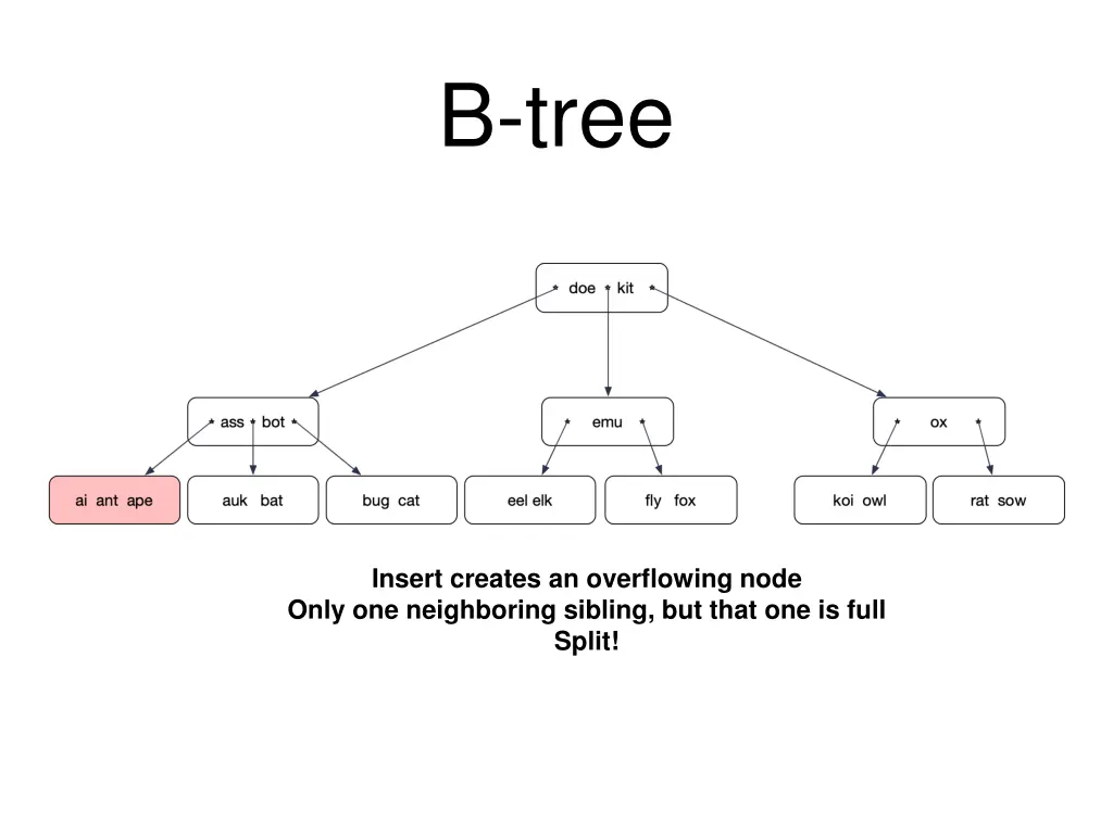 b tree 6