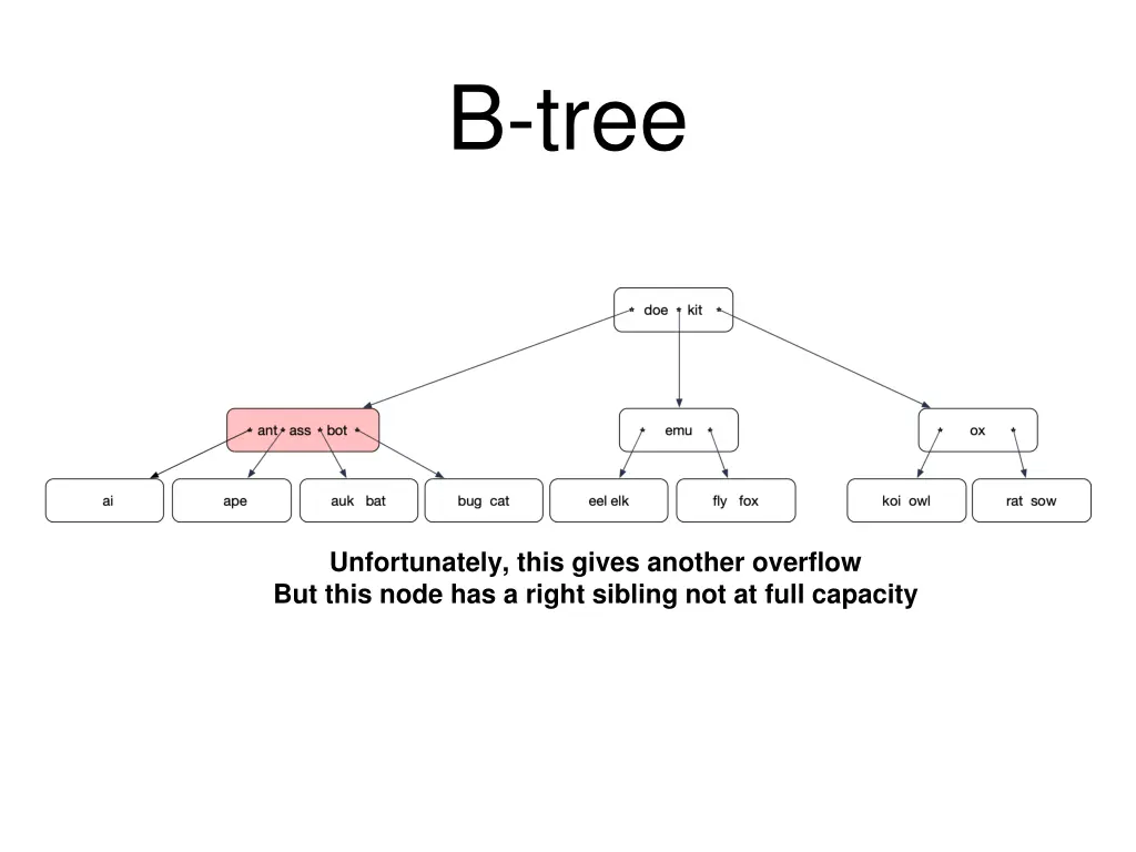 b tree 8