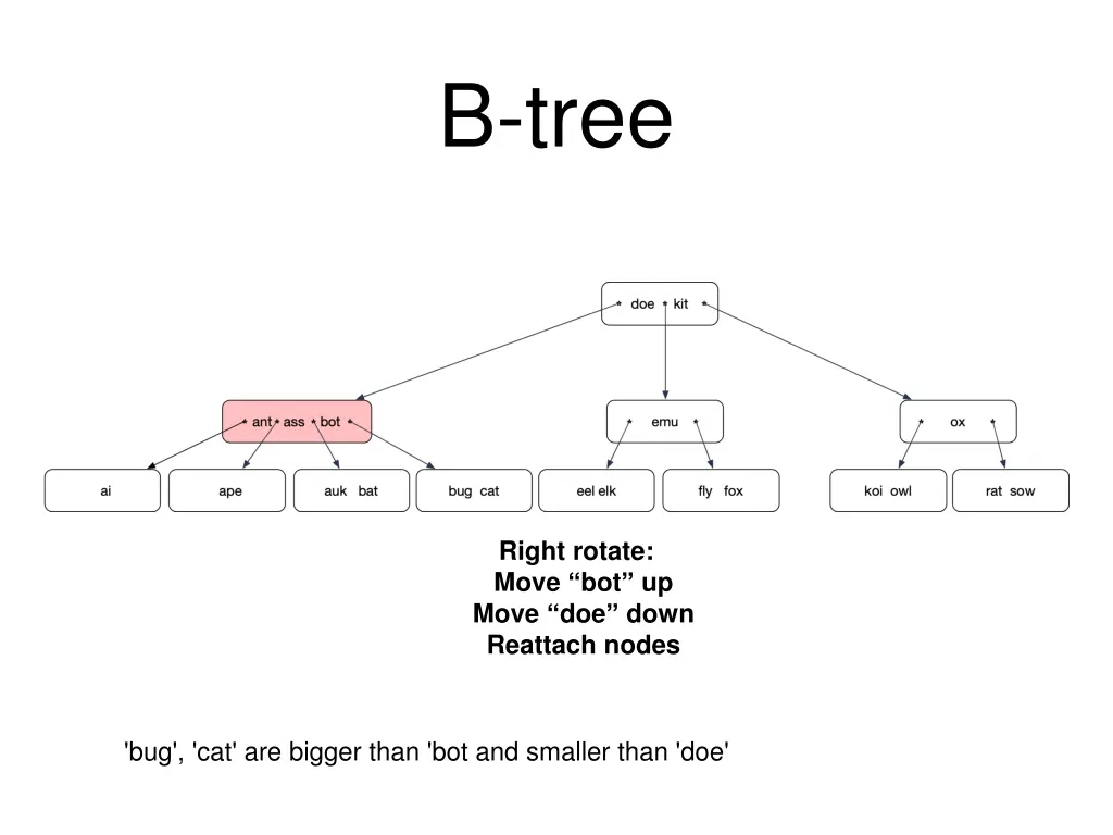 b tree 9