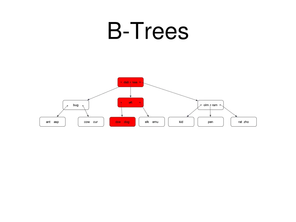 b trees 5