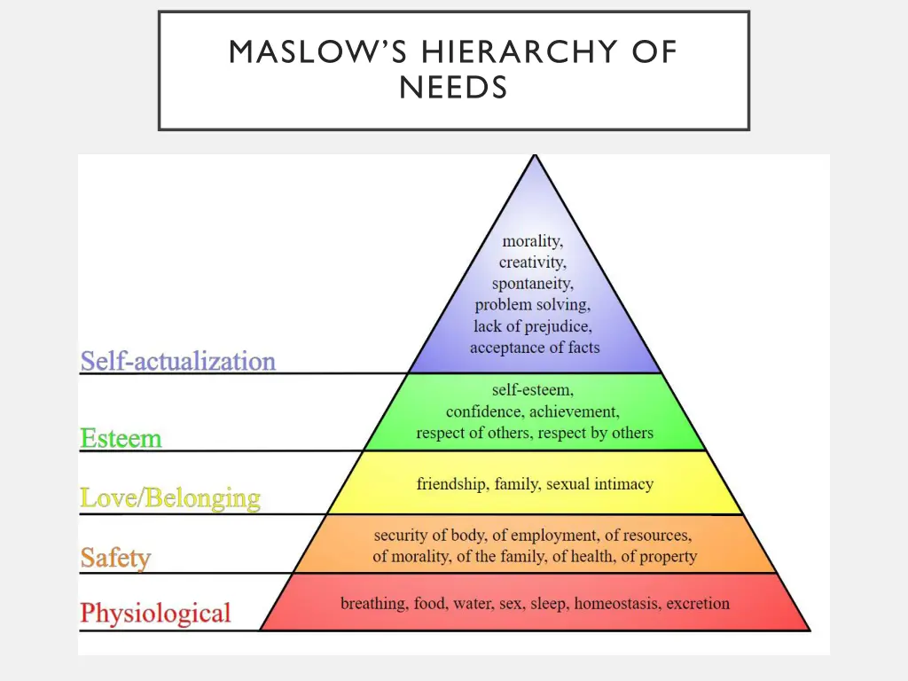 maslow s hierarchy of needs