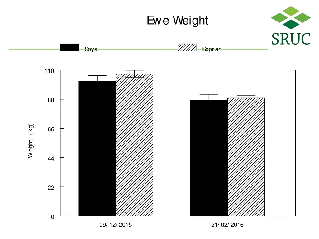 ewe weight