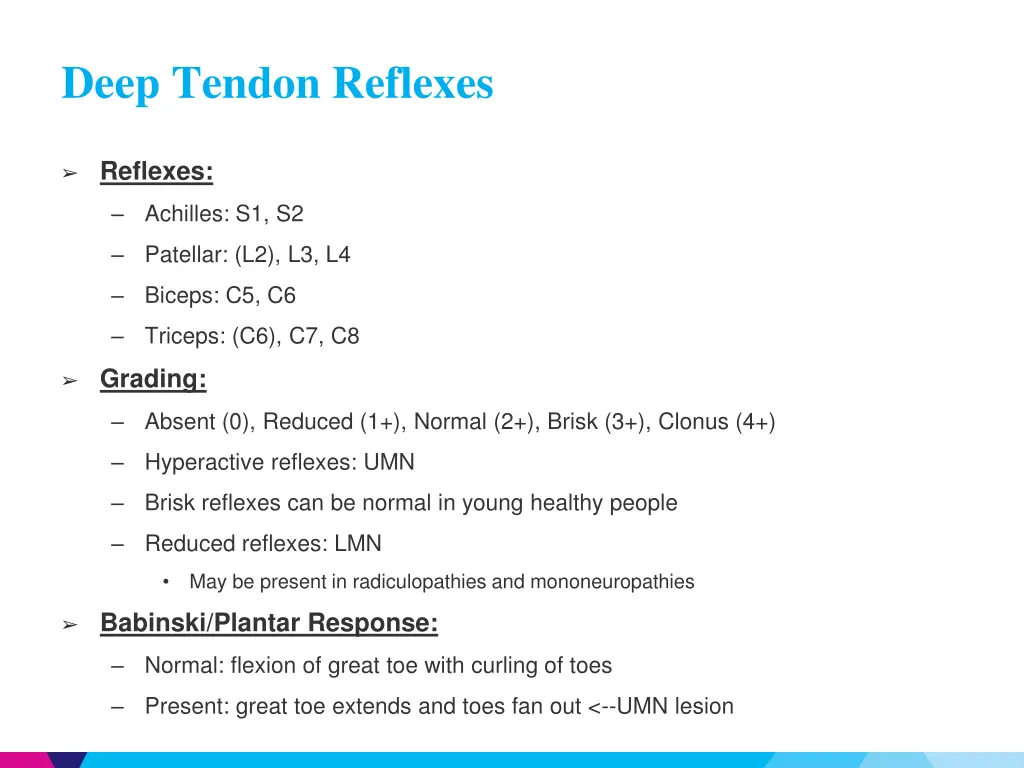 deep tendon reflexes