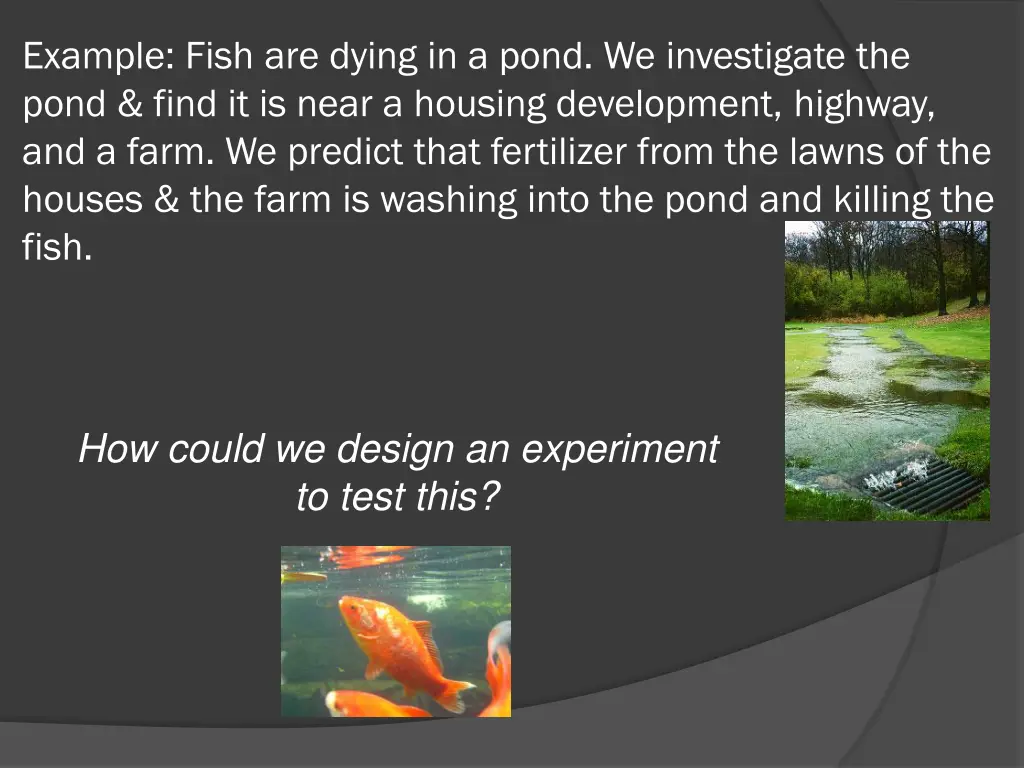 example fish are dying in a pond we investigate