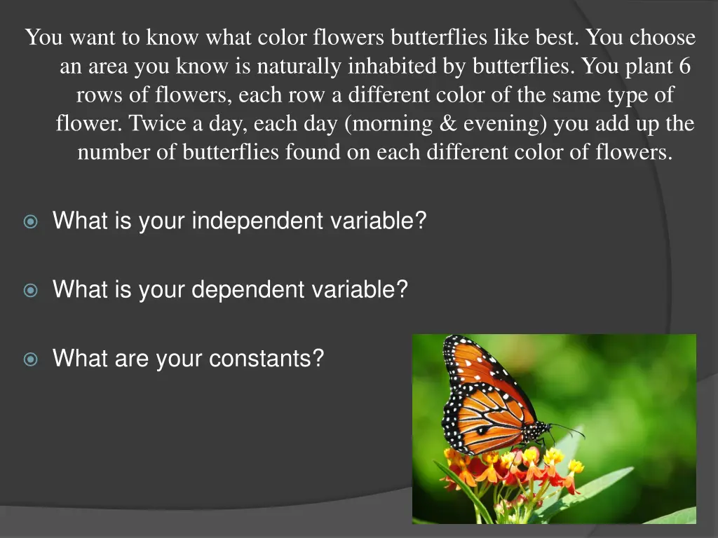 you want to know what color flowers butterflies