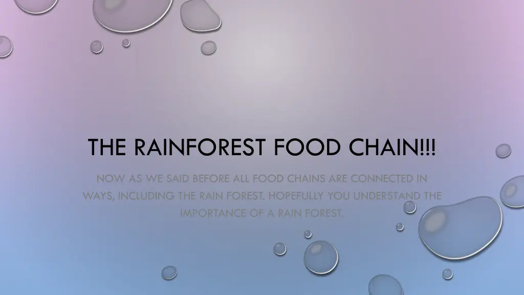 the rainforest food chain 1