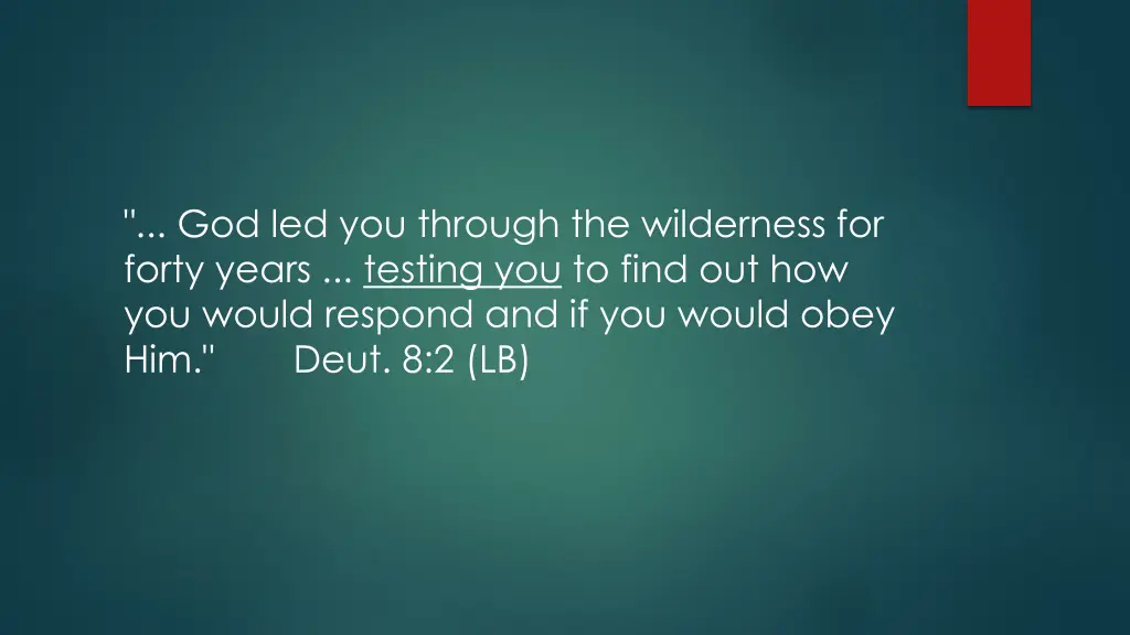 god led you through the wilderness for forty