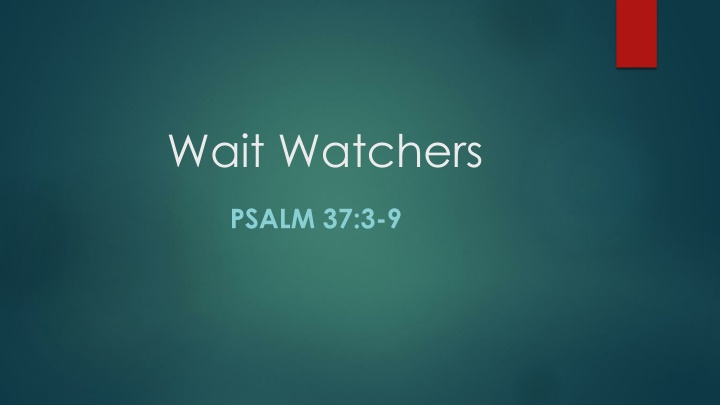 wait watchers