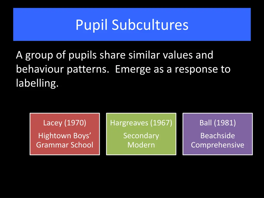 pupil subcultures