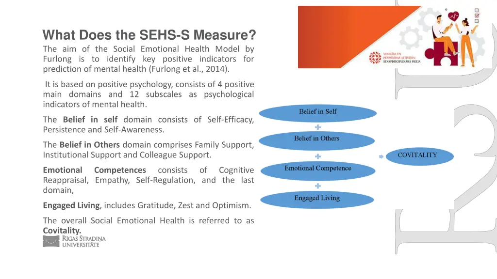 what does the sehs s measure