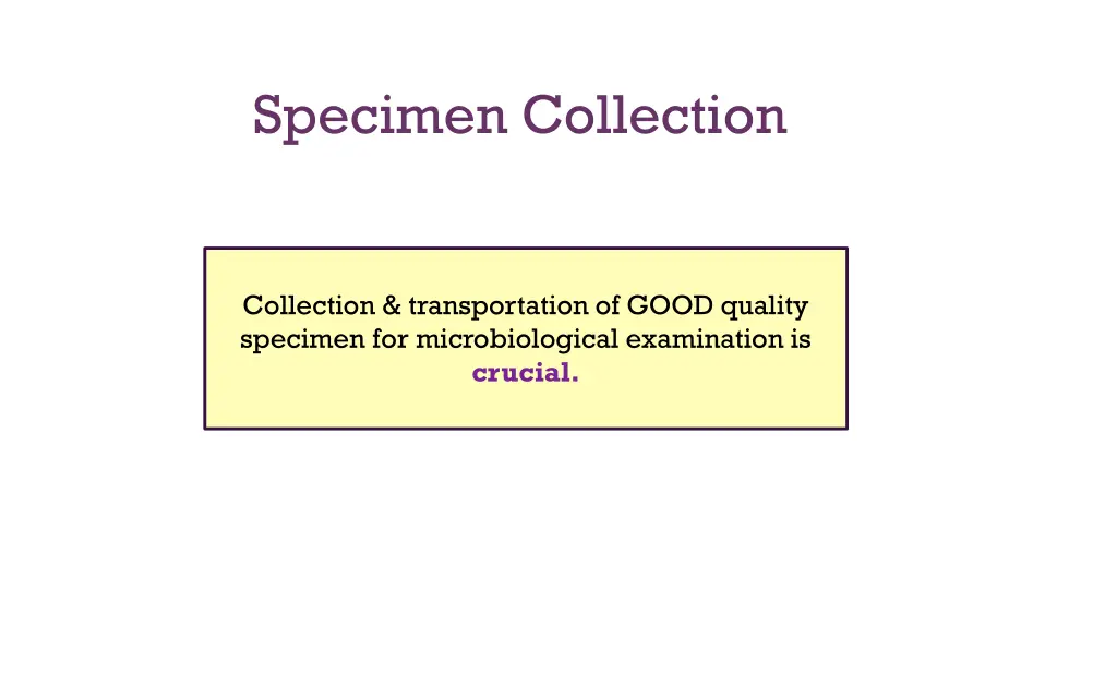 specimen collection