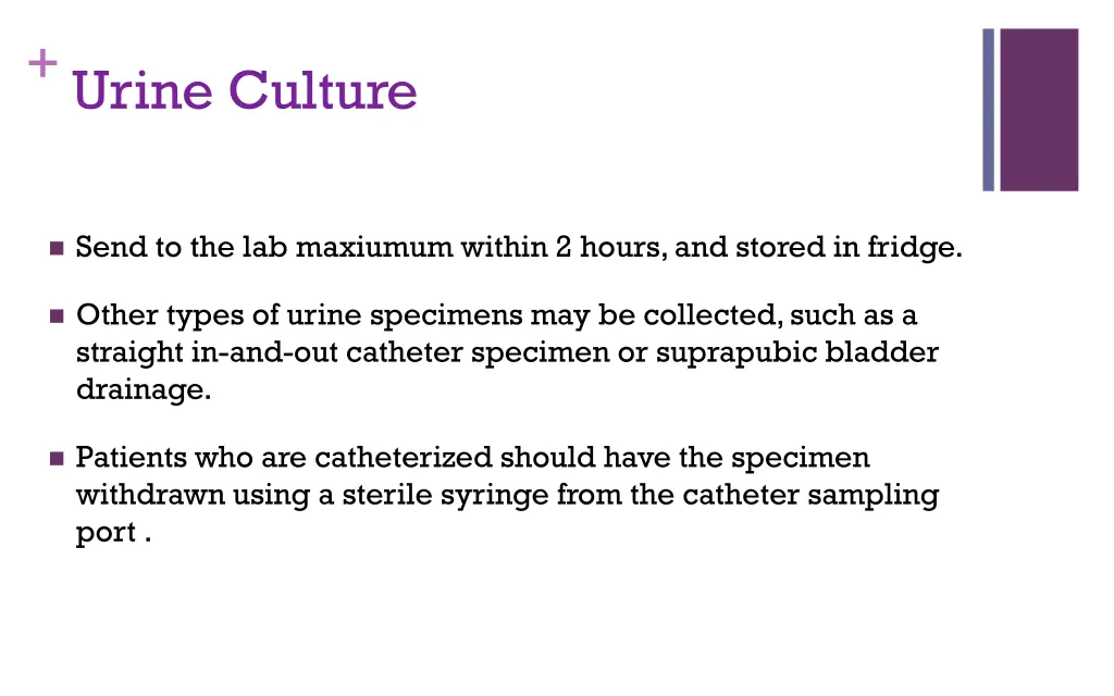 urine culture 1