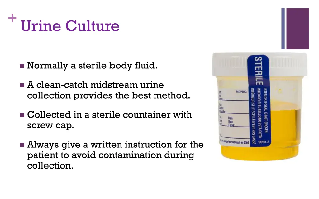 urine culture