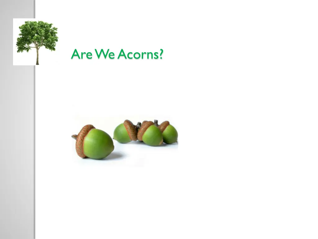 are we acorns