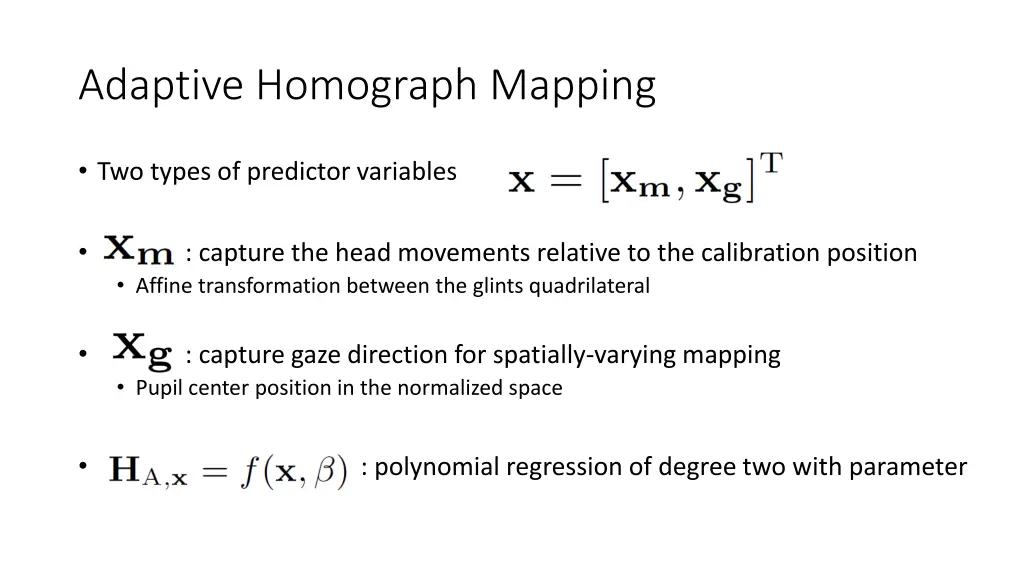 adaptive homograph mapping