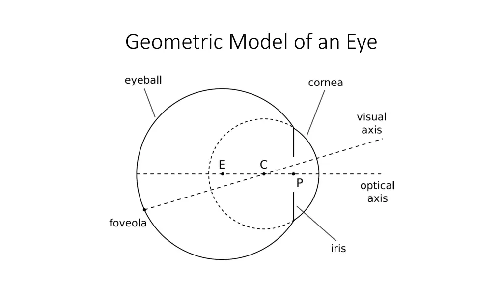 geometric model of an eye