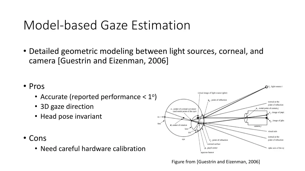 model based gaze estimation